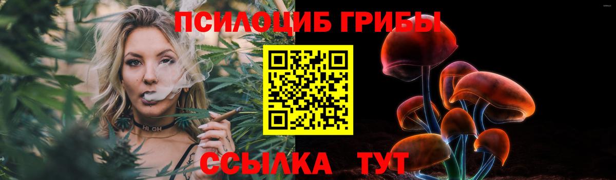 Пугачёв  Псилоцибиновые грибы мицелий  Вход с VPN 